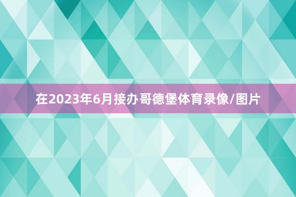 在2023年6月接办哥德堡体育录像/图片