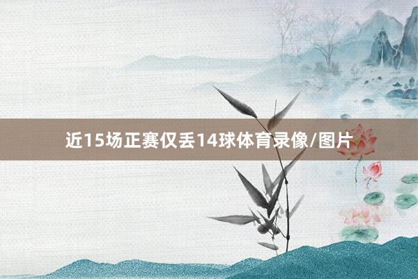 近15场正赛仅丢14球体育录像/图片